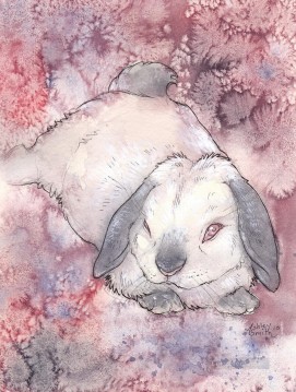 Rabbit Bunny Hare Painting - The White Rabbit